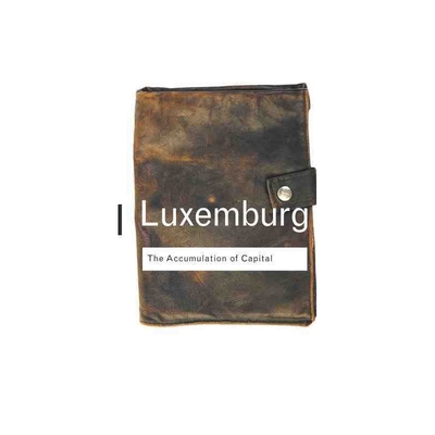 The Accumulation of Capital 博库网