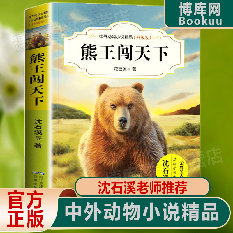 熊王闯天下 沈石溪中外动物小说精品升级版 9-12岁儿童文学励志动物