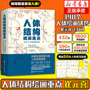 人体结构绘画重点 (韩)崔元喜 提升角色表现力吸引力人体绘画指南特定线条形状使角色更具说服力美术学画画艺术 人体绘画教程书籍