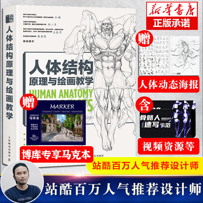 人体结构原理与绘画教学肖玮春