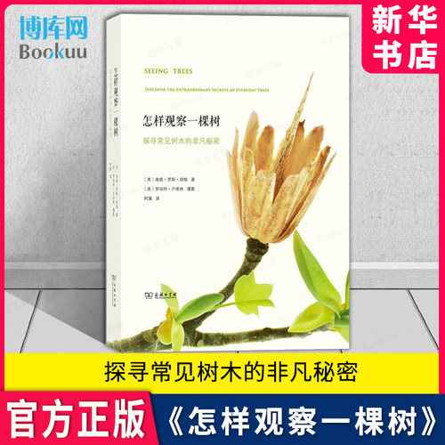 怎样观察一棵树探寻常见树木的