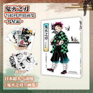 几星霜 日本漫画书籍 简体中文版 书鬼杀队见闻录 决战无限城炭治郎公式 鬼灭之刃吾峠呼世晴画集 透卡 赠明信片 特典版
