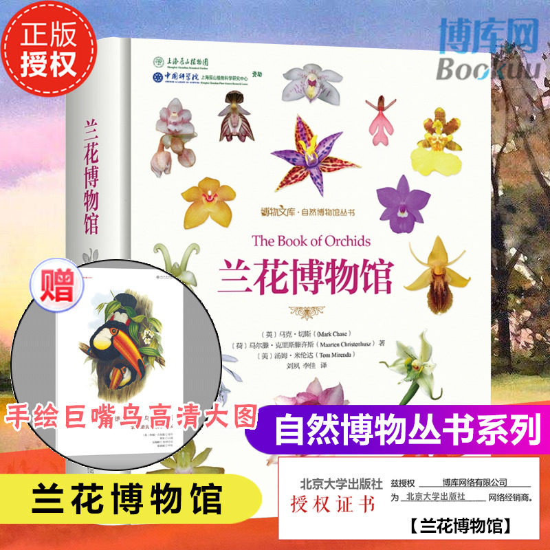 兰花博物馆 自然博物馆丛书 (英)马克·切斯(荷)马尔滕·克里斯滕许斯 汤姆·米伦达 动物植物等种类分类及生命科学研究知识书博库