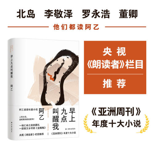 早上九点叫醒我 阿乙长篇小说 正版全本南方乡村的金瓶梅先锋文学代表作写尽小人物的挣扎与不甘冷峻笔触剖开现实肌理译林出版社