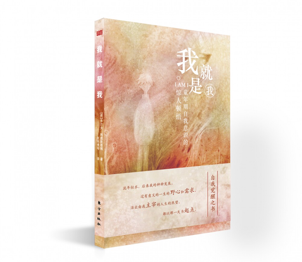 我就是我童年期自我意识的惊人顿悟  自我意识 发展心理学 顿悟 我就