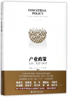 产业政策 博库网 总结反思与展望 精
