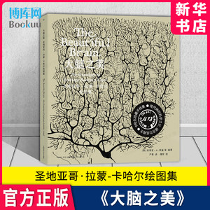 新华书店《大脑之美》圣地亚哥·拉蒙-卡哈尔绘图集 神经科学 卡哈尔 诺贝尔奖 手绘图 艺术 大脑 脑科学 微观 高尔基法