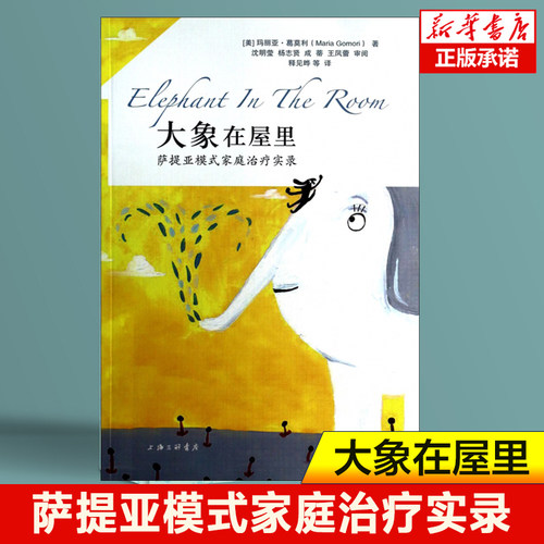 大象在屋里 萨提亚模式家庭治疗实录 玛丽亚·葛莫利 家庭心理治疗的实录集 心理医生心理治疗抑郁症 心理学书籍