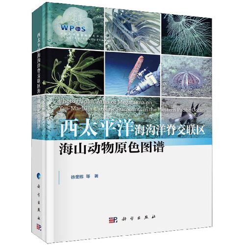 西太平洋海沟洋脊交联区海山动物原色图谱 徐奎栋 等 正版书籍   博库网