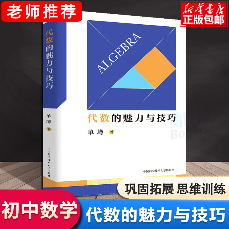 现货初中数学代数的魅力与技巧单墫 初一初二初三初中数学解题规律方法与技巧代数789年级2021中考数学必刷代数题同步训练题