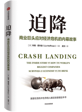 迫降 商业巨头应对经济危机的内幕故事 全景呈现美国最近一次大规模经济危机 采访100+企业家 在危机中求生存的企业经营管理书籍