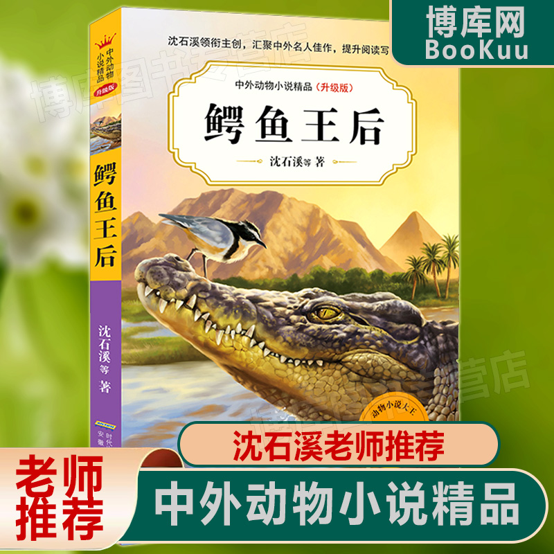 鳄鱼王后 升级版 中外动物小说精品正版初中三四五六年级小学生课外必读书籍10-12-15岁少儿童阅读物图书狼王梦畅销书排行榜