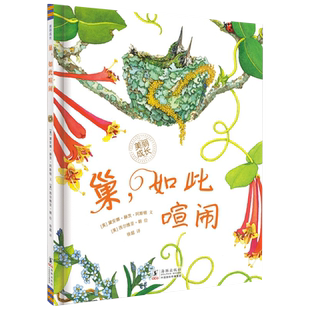 美丽成长科普绘本丛书6册巢如此喧闹蝴蝶如此耐心卵如此安宁种子如此酣睡岩石活泼一年级课外阅读儿童故事书籍甲虫动物科普图画