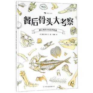 正版 餐后骨头大考察 盛口满的手绘自然图鉴 儿童插图科普百科绘本书籍