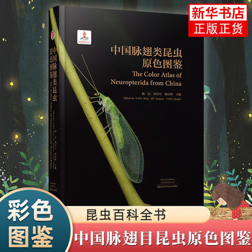 中国脉翅目昆虫原色图鉴 幼虫彩色图鉴28173石宝才 宫亚军 魏书军 陈金翠 彩色图鉴 毛毛虫河南科学技术出版社博库旗舰店