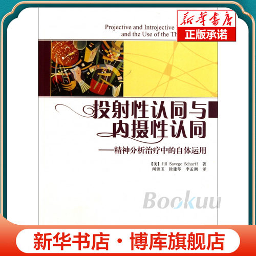 投射性认同与内摄性认同--精神分析治疗中的自体运用 博库网