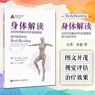 学习筋膜手法和运动治疗书籍 运动康复运动康复训练书籍 身体解读 如何利用解剖列车肌筋膜线进行视觉评估