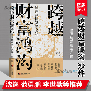 沙烨著 财富伦理问题阐明当代中国财富积累所依赖 跨越财富鸿沟通往共同富裕之路 讨论本质性 书籍 历史正外部性 新华书店正版
