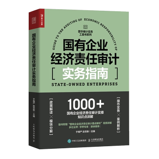 国有企业经济责任审计实务指南 国企审计工具书财务报告会计财务报表普华审计实务工具书籍 内部 内审 咨询会计师事务所风控博库网