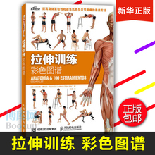 拉伸训练彩色图谱 100种拉伸练习 远离肌肉损伤 快速有效改善身体柔韧性 肌肉健美训练图解拉伸训练书籍 健身书籍练肌肉博库网