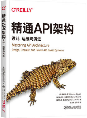 精通API架构：设计、运维与演进 James Gough API架构现代应用模式 API运维 安全 API安全 博库网