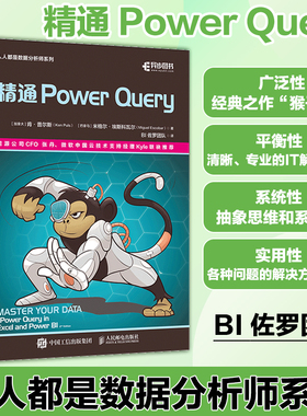 精通Power Query powerquery教程经典之作“猴子书”powerbi excel数据分析数据自动化处理财务大数据商业分析