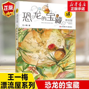 12岁少儿读物一二三四年级小学生文学阅读课外书籍 漂流屋 故事书3 王一梅儿童文学精品系列 宝藏 恐龙