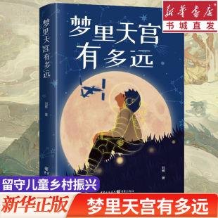 梦里天宫有多远 现实主义题材长篇儿童小说成长智慧励志书籍课外阅读书 刘辉著儿童文学成长故事留守儿童乡村振兴孩子航空梦想