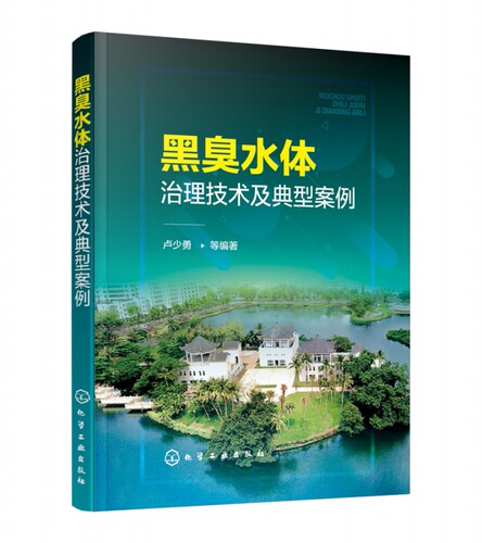 黑臭水体治理技术及典型案例 河流环境污染控制与修复技术 黑臭水体防治 黑臭水体整治原则 治理基本思路及技术措施 污水处理