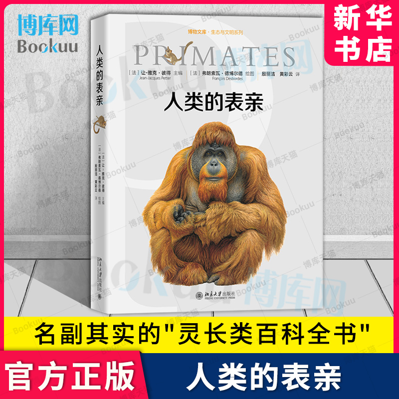 人类的表亲灵长类动物的进化轨迹