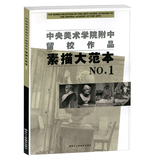 素描大范本1 中央美术学院附中留校作品 央美附中留校作品选素描教学素描静物教材 石膏头像基础临摹书美术类学生专业参考大系书籍