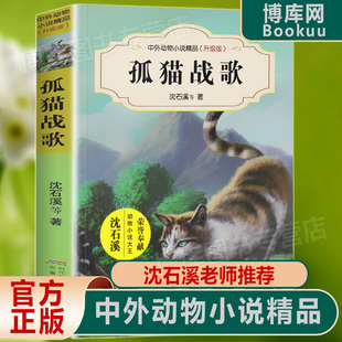 书中外动物小说精品升级版 12岁儿童课外读物安徽少年儿童出版 沈石溪等著儿童文学书籍中高年级小学生课外阅读书8 社 孤猫战歌