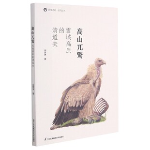 博库网 清道夫 高山兀鹫 雪域高原