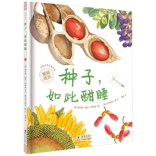 种子，如此酣睡 博库网 生命科普绘本系列 育儿杂志 7-8-9-10-11-12岁 认识植物种子不可思议的多样性
