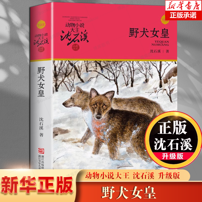 野犬女皇 沈石溪动物小说品藏书系升级版 小学生课外阅读书籍6-12岁青少年版儿童文学三四五六年级阅读儿童文学故事畅销书