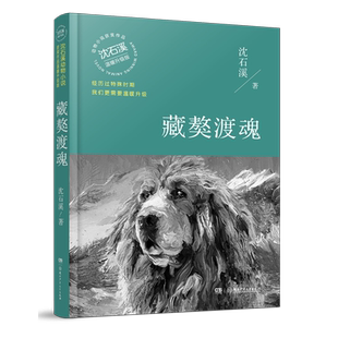 动物小说大王沈石溪获奖作品藏獒渡魂温暖升级版 沈石溪动物小说系列单本儿童读物6-15岁儿童文学经典动物小说 小学生课外阅读书籍