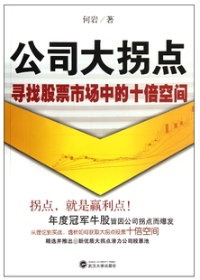 公司大拐点(寻找股票市场中的十倍空间) 博库网