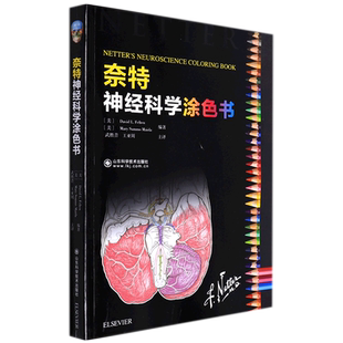 奈特神经科学涂色书 博库网