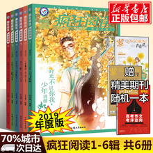 暖心集 美文纪 中国风全年全套高中校园励志珍藏本杂志 小说馆 疯狂阅读年度特辑2019版 6辑青春志 成长书 赠精美杂志