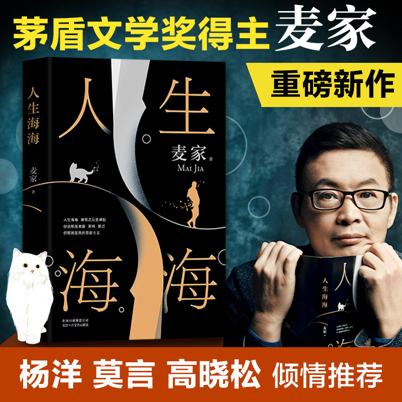 现货速发 人生海海麦家茅盾文学奖得主风声解密暗算豆瓣年度中国小说文学书籍畅销书杨洋董卿朗读者正版包邮中国文学高性价比高么？