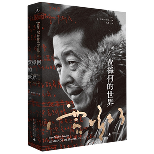 贾樟柯的世界 让米歇尔付东著  广西师范大学出版社 平凡的世界演绎不平凡的人生故乡生活原点照进影子 正版预售