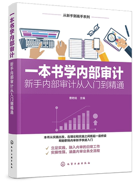 一本书学内部审计 新手内部审计从入门到精通 从新手到高手系列 解析审计思维和方法 审计方案 实用技能 帮助职场内审新手快速入门