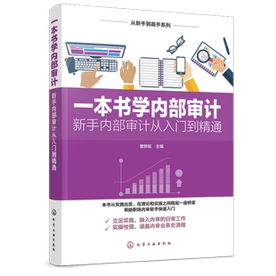 一本书学内部审计 新手内部审计从入门到精通 从新手到高手系列 解析审计思维和方法 审计方案 实用技能 帮助职场内审新手快速入门