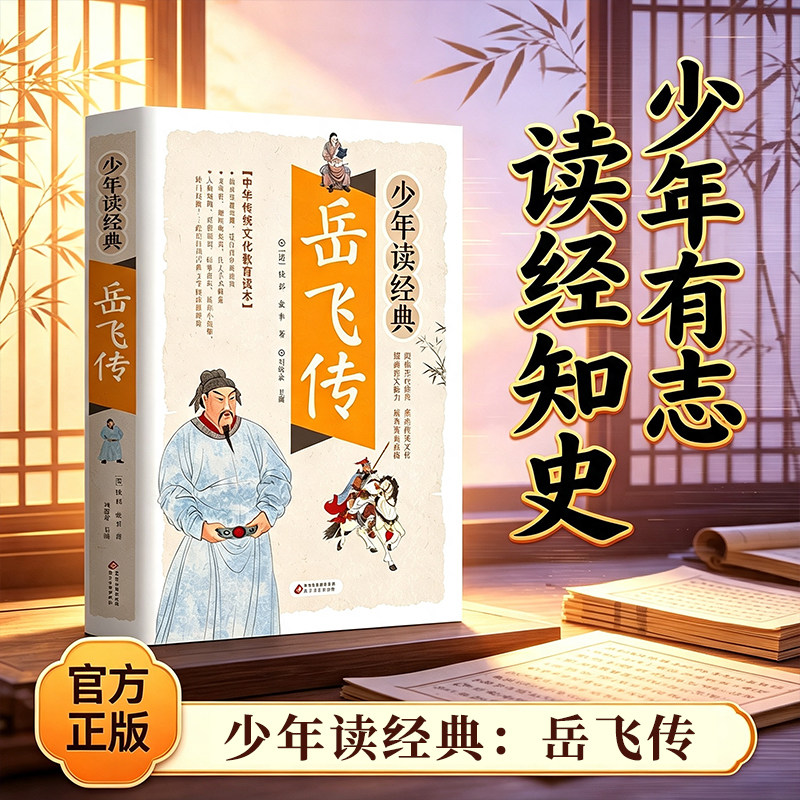 岳飞少年经典白话文正版国学图片