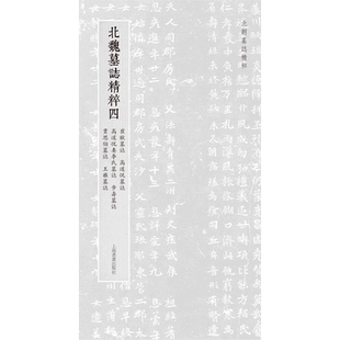 北朝墓志精粹·北魏墓誌精粹四 博库网