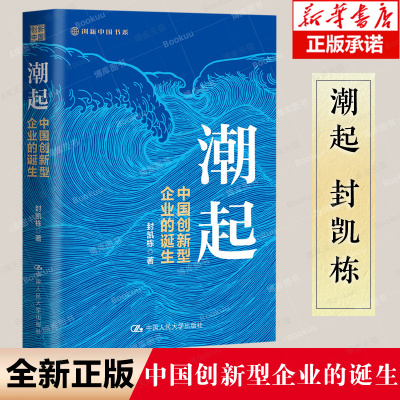 潮起中国创新型企业的诞生