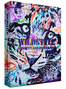 英文原版 WILDSTYLE GRAFFITI AND STREET ART 野性涂鸦与街头艺术 潮酷图像个性涂鸦潮玩艺