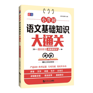 小升初语文基础知识大通关三四五六年级小学生基础知识集锦小升初知识点词语积累手册语文专项训练小学语文总复习同济大学出版社