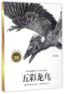 童趣正版沈石溪动物小说经典爱藏版五彩龙鸟精装35周年创作儿童文学6-12岁长篇小说故事书籍