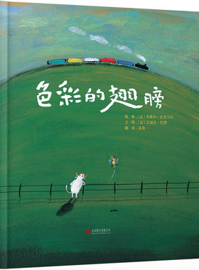 色彩的翅膀精装描绘梦之旅
